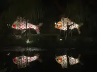 週末出遊|安徽齊雲山