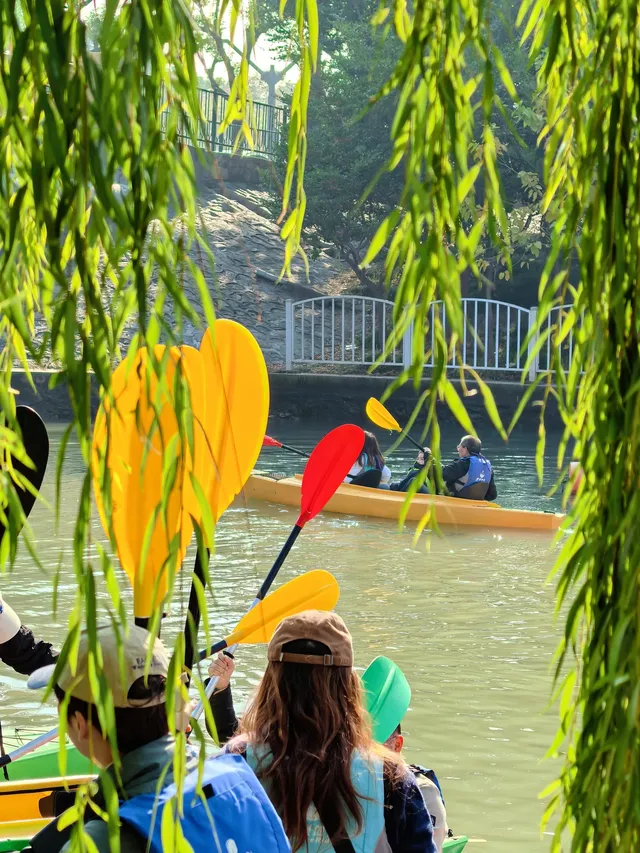 上海秋冬限定浪漫!劃進緋紅水杉秘境裡… 上海秋冬限定浪漫!劃進緋紅水杉秘境裡…