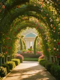 秋天的調色盤被打翻啦！毛茸茸彩色團子樂園