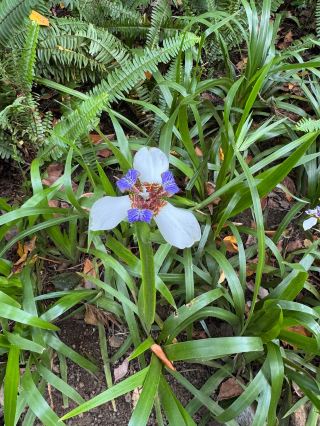 สถานที่พักผ่อนอันเงียบสงบที่ริเวอร์ทรีส์ อารูชา