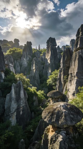 Spring City Family Outing: Kunming 4 Days 3 Nights Ultimate Parent-Child Guide