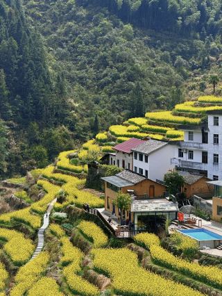 These 5 places have springtime even more beautiful than Wuyuan, and 90% of people haven’t been!