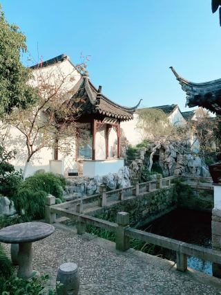 蘇州曲園必見ガイド 小さな宝物の文化保護庭園