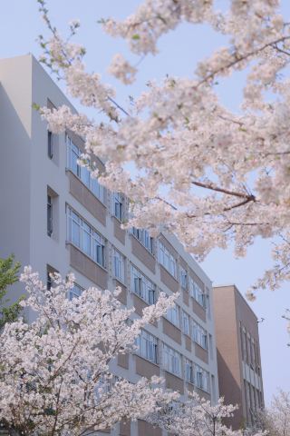 공정대의 봄날, 로맨스가 가득해요!!