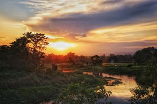 Chitwan National Park Wild Adventure! Face-to-face encounters are so thrilling!
