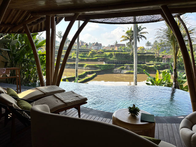 Unforgettable Honeymoon at a Luxurious Resort