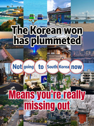 원화 급락! 지금 한국 가는 게 완전 이득이다