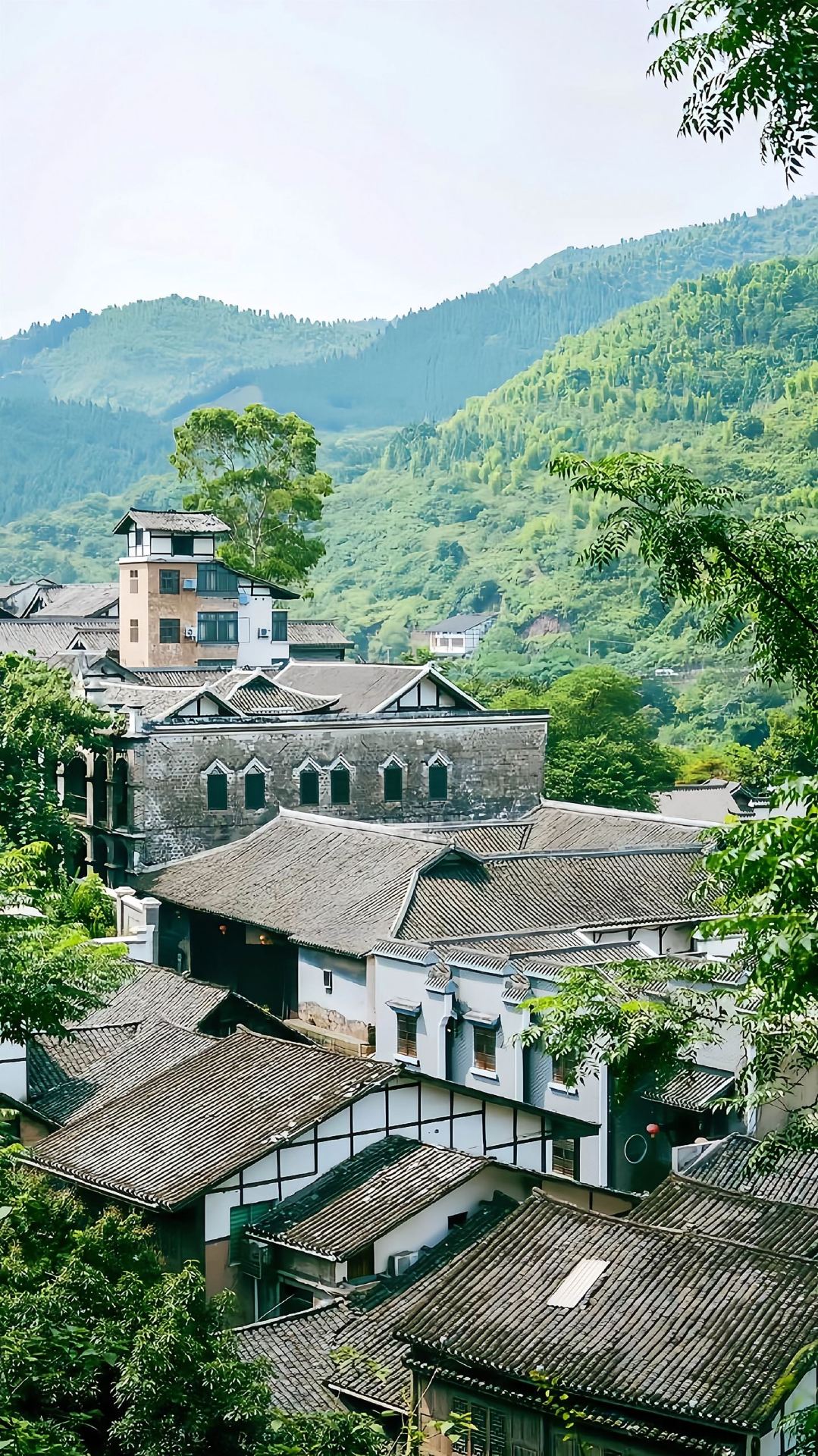 Phố cổ Tucheng, Zunyi, Quý Châu | Dạo bước trên những con phố lát đá vào một ngày mưa – không khí thật tuyệt vời! Hướng dẫn nhanh!