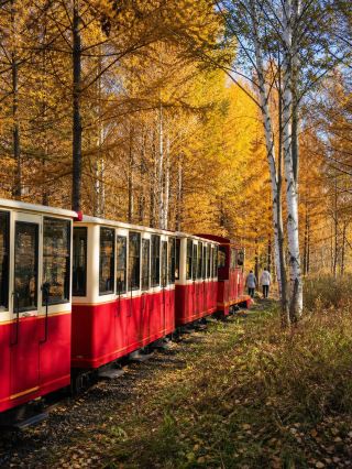 アル山の秋色ライトハイキング、鉄道旅の行程案