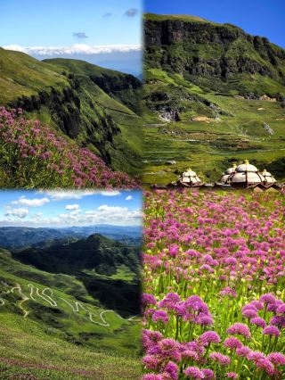 I've been to Bijie 6 times, and here is my advice... Bijie in September–October 