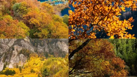 I only regret not coming to Jiuzhaigou sooner! How to explore the 3 valleys for a stress-free and beautiful trip — traveler post in Aba Prefecture