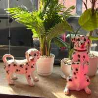 คาเฟ่ย่านสยาม Dalmatian 🐶💖