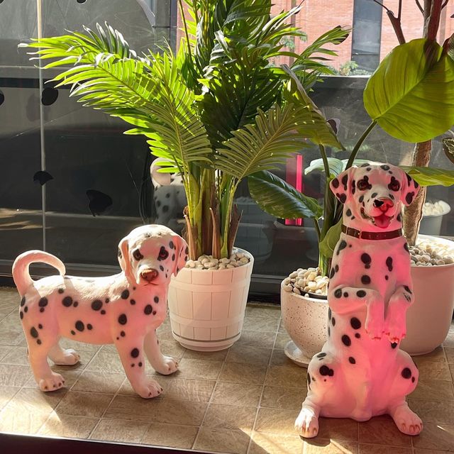 คาเฟ่ย่านสยาม Dalmatian 🐶💖