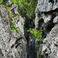 วิวมุมสูง บนเกาะแม่เกาะ