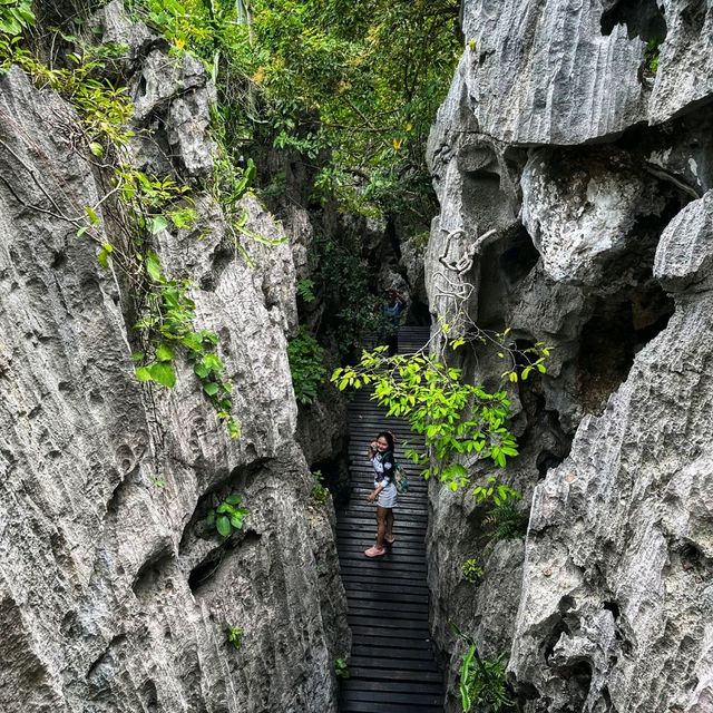 วิวมุมสูง บนเกาะแม่เกาะ