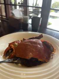 (台中/新社)精緻的無菜單料理-又見一炊煙