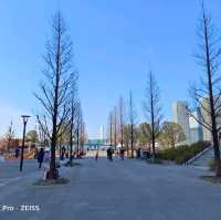 東京旅遊，豐洲公園