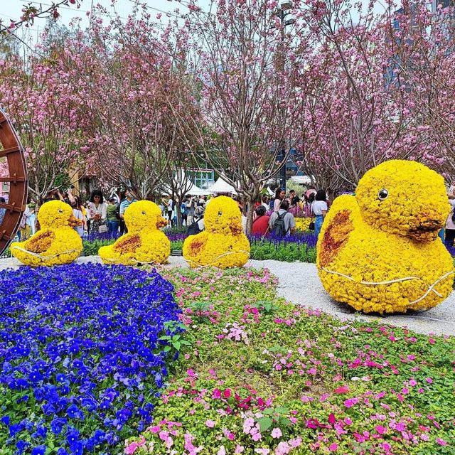 疫情後的花展