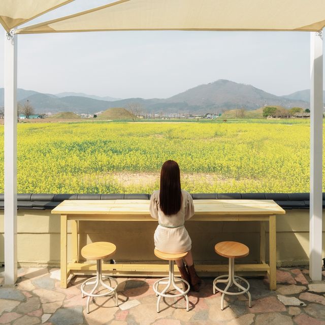 경주 데이트코스 베이글맛집