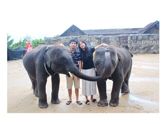 สวนสัตว์หัวหิน ซาฟารี