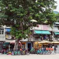 長洲悠閒半日遊,登北眺亭,漫步東灣