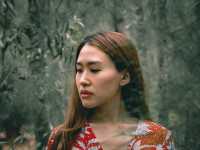 ป่าสน ทับสะแก จ.ประจวบคีรีขันธ์