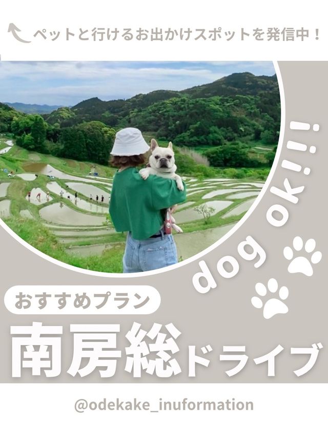 【千葉･南房総】おすすめのドライブスポット🚗
