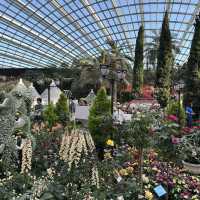 Flower Dome at Gardens by the bay