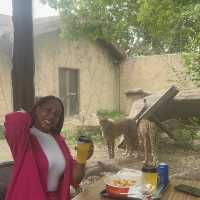Bestie’s Day Out At SH Wild Animal Park