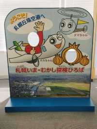 札幌丘珠空港