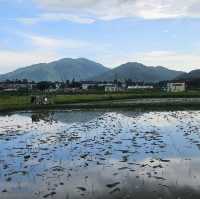 極具保育價值嘅塱原自然生態公園之生態區