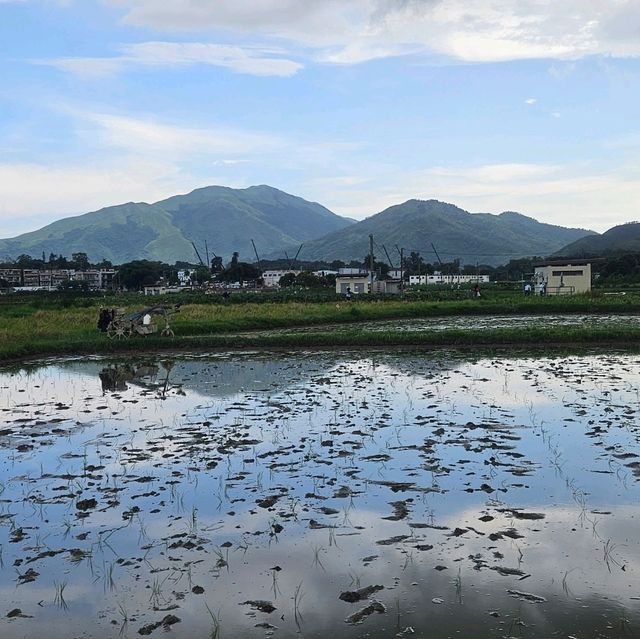 極具保育價值嘅塱原自然生態公園之生態區