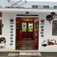 ไปขึ้นขบวนรถไฟแมวทามะกัน!