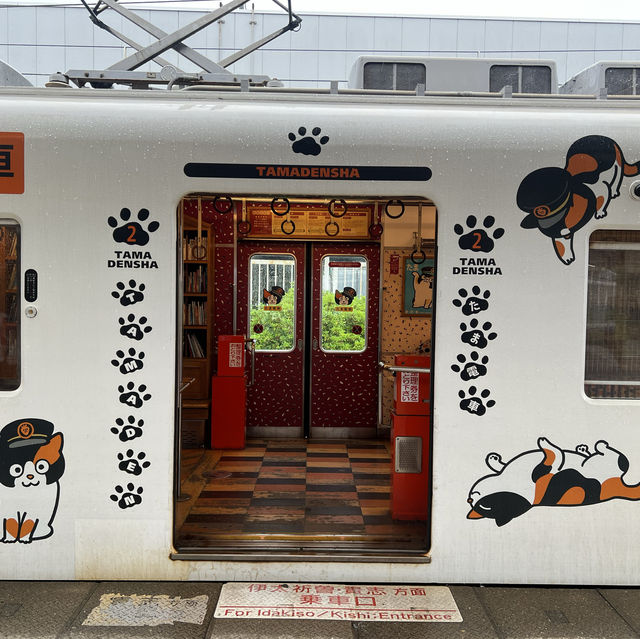 ไปขึ้นขบวนรถไฟแมวทามะกัน!