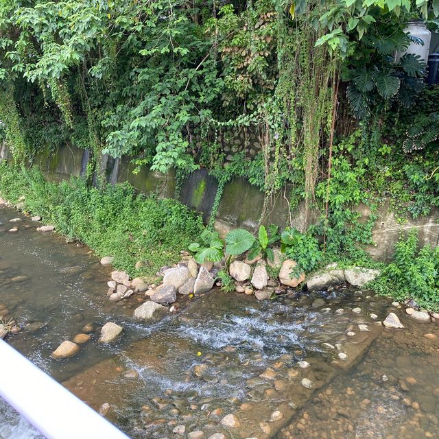 荖坑溪公園🍃