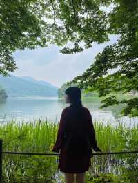 남양주 드라이브 코스🌳