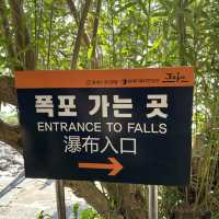 제주도 3대 폭포💖 정방폭포 보러 가자구용 