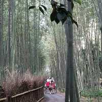 京都一天遊