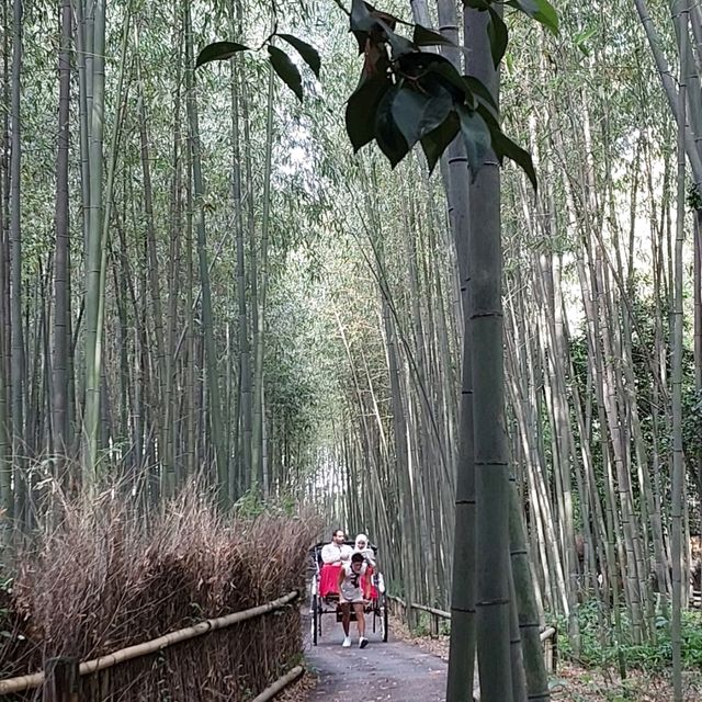 京都一天遊