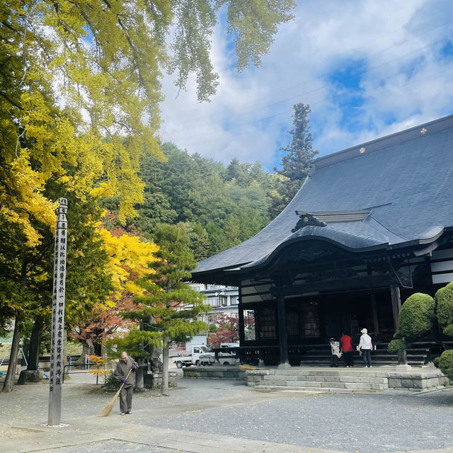 【長野県/高さ40mの夫婦銀杏が美しく紅葉を始めた佛法紹隆寺】