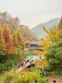 서울근교 가장 핫하다는 단풍명소 소개와 꿀팁🍁