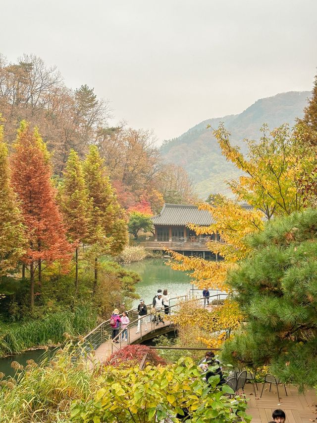 서울근교 가장 핫하다는 단풍명소 소개와 꿀팁🍁