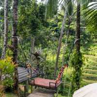 Breathtaking views at Tegallalang Rice Field