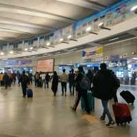 The Delhi Metro