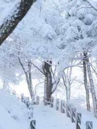 아름다운 눈꽃세상❄️