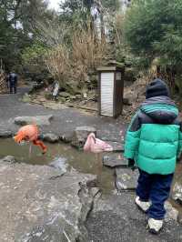 親子遊必去！ #伊豆仙人掌動物園