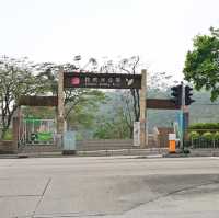 佐敦谷公園打卡絕對一流👍👍👍