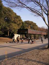 후쿠오카 시민들의 힐링스팟 오호리공원 🌿