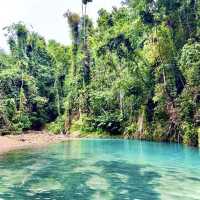 Kawasan Falls Canyoneering