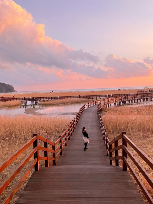 뚜벅이도 가능한 부산 당일치기 코스 추천!🌊